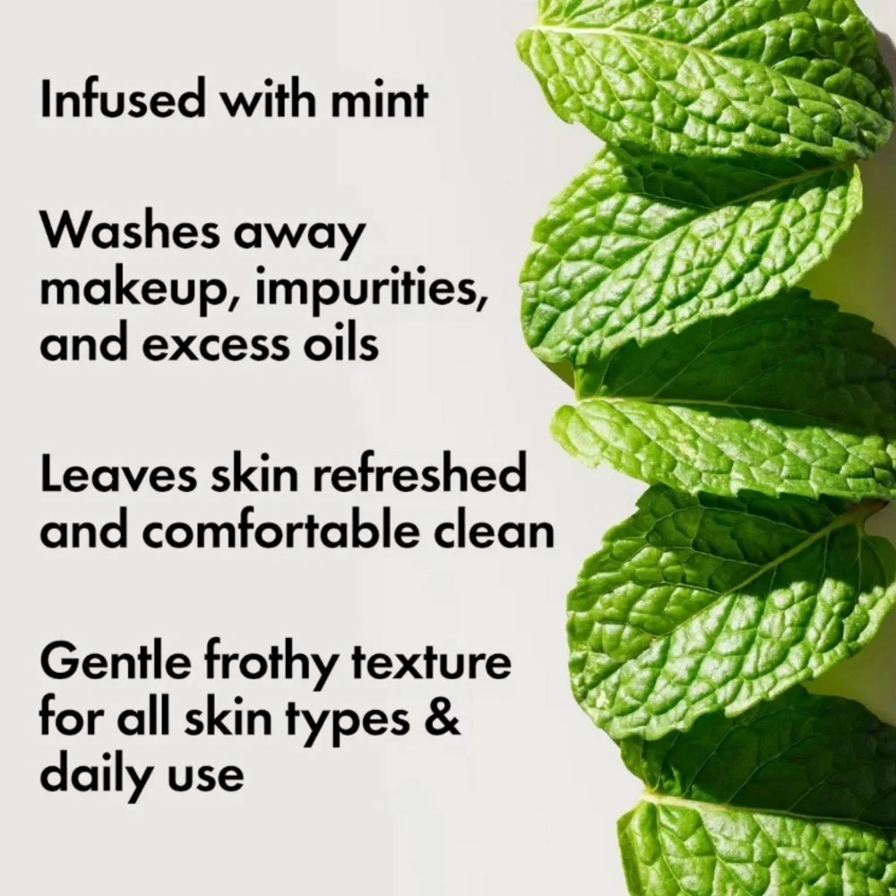 Origins Checks and Balances Frothy Face Wash